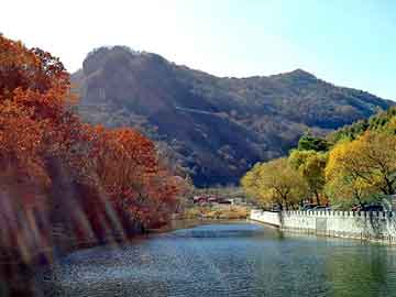 新澳天天开奖资料大全旅游团，排名前十的小说